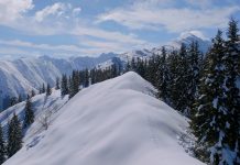 Noutățile lunii septembrie 2026 la National Geographic & National Geographic Wild