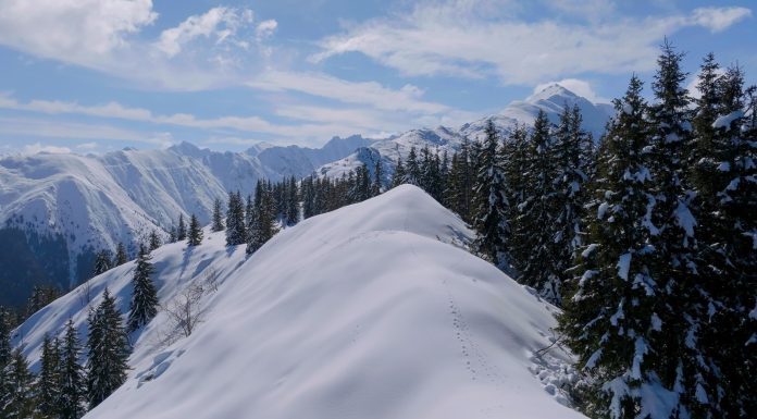 Noutățile lunii septembrie 2026 la National Geographic & National Geographic Wild
